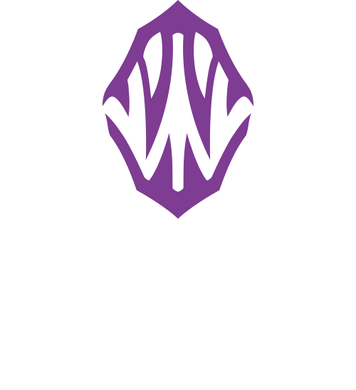 鏡牙 Kyohga 富山湾 地域別情報 Daiwa